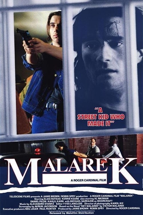 Постер Malarek